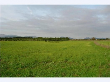 Sa&nbsp;Pobla&nbsp;property:&nbsp;Land&nbsp;for&nbsp;sale&nbsp;in&nbsp;Sa&nbsp;Pobla,&nbsp;Spain&nbsp;175338