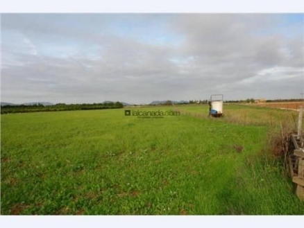 Sa&nbsp;Pobla&nbsp;property:&nbsp;Land&nbsp;with&nbsp;bedroom&nbsp;in&nbsp;Sa&nbsp;Pobla,&nbsp;Spain&nbsp;175338