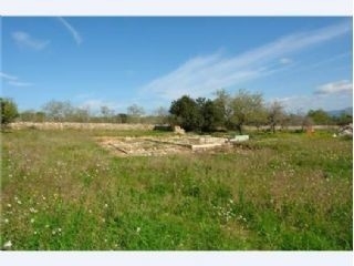 Santa&nbsp;Margalida&nbsp;property:&nbsp;Land&nbsp;for&nbsp;sale&nbsp;in&nbsp;Santa&nbsp;Margalida&nbsp;175376