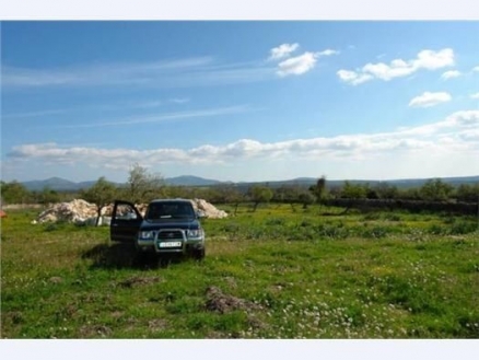 Santa&nbsp;Margalida&nbsp;property:&nbsp;Land&nbsp;with&nbsp;bedroom&nbsp;in&nbsp;Santa&nbsp;Margalida&nbsp;175376