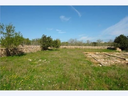 Santa&nbsp;Margalida&nbsp;property:&nbsp;Land&nbsp;for&nbsp;sale&nbsp;in&nbsp;Santa&nbsp;Margalida,&nbsp;Mallorca&nbsp;175376