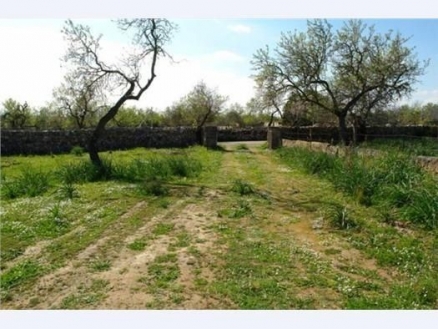 Santa&nbsp;Margalida&nbsp;property:&nbsp;Land&nbsp;in&nbsp;Mallorca&nbsp;for&nbsp;sale&nbsp;175376