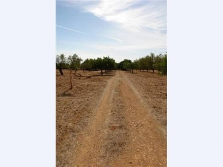 Inca&nbsp;property:&nbsp;Land&nbsp;for&nbsp;sale&nbsp;in&nbsp;Inca,&nbsp;Spain&nbsp;175406