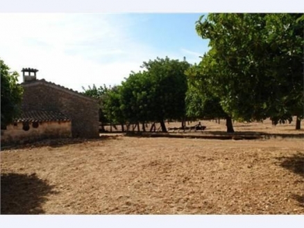 Inca&nbsp;property:&nbsp;Land&nbsp;with&nbsp;bedroom&nbsp;in&nbsp;Inca&nbsp;175406