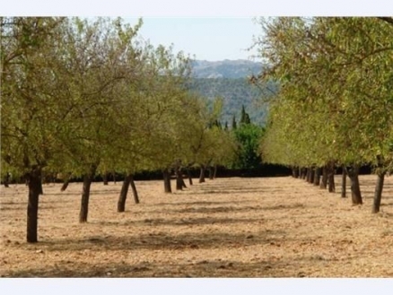 Inca&nbsp;property:&nbsp;Land&nbsp;for&nbsp;sale&nbsp;in&nbsp;Inca,&nbsp;Mallorca&nbsp;175406