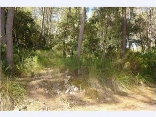 Puigpunyent&nbsp;property:&nbsp;Land&nbsp;for&nbsp;sale&nbsp;in&nbsp;Puigpunyent&nbsp;175465