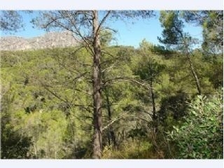 Puigpunyent&nbsp;property:&nbsp;Land&nbsp;with&nbsp;bedroom&nbsp;in&nbsp;Puigpunyent&nbsp;175465