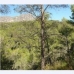 Puigpunyent&nbsp;property:&nbsp;bedroom&nbsp;Land&nbsp;in&nbsp;Puigpunyent,&nbsp;Spain&nbsp;175465
