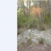 Puigpunyent&nbsp;property:&nbsp;Land&nbsp;in&nbsp;Puigpunyent&nbsp;175465