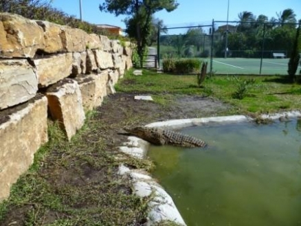 San&nbsp;Pedro&nbsp;de&nbsp;Alcantara&nbsp;property:&nbsp;San&nbsp;Pedro&nbsp;de&nbsp;Alcantara,&nbsp;Spain&nbsp;|&nbsp;Villa&nbsp;for&nbsp;sale&nbsp;175932