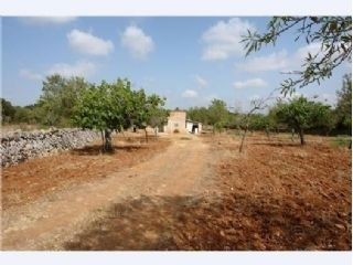 Llubi&nbsp;property:&nbsp;Land&nbsp;for&nbsp;sale&nbsp;in&nbsp;Llubi,&nbsp;Spain&nbsp;176319