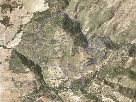 Cortes&nbsp;De&nbsp;La&nbsp;Frontera&nbsp;property:&nbsp;Commercial&nbsp;for&nbsp;sale&nbsp;in&nbsp;Cortes&nbsp;De&nbsp;La&nbsp;Frontera,&nbsp;Spain&nbsp;176544