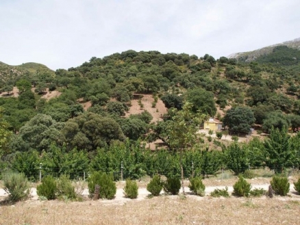 Cortes&nbsp;De&nbsp;La&nbsp;Frontera&nbsp;property:&nbsp;Commercial&nbsp;with&nbsp;2&nbsp;bedroom&nbsp;in&nbsp;Cortes&nbsp;De&nbsp;La&nbsp;Frontera,&nbsp;Spain&nbsp;176544