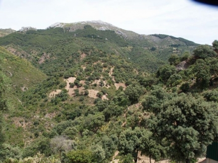 Cortes&nbsp;De&nbsp;La&nbsp;Frontera&nbsp;property:&nbsp;Commercial&nbsp;for&nbsp;sale&nbsp;in&nbsp;Cortes&nbsp;De&nbsp;La&nbsp;Frontera,&nbsp;Malaga&nbsp;176544