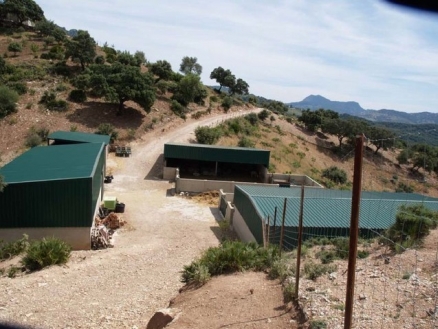 Cortes&nbsp;De&nbsp;La&nbsp;Frontera&nbsp;property:&nbsp;Cortes&nbsp;De&nbsp;La&nbsp;Frontera,&nbsp;Spain&nbsp;|&nbsp;Commercial&nbsp;for&nbsp;sale&nbsp;176544