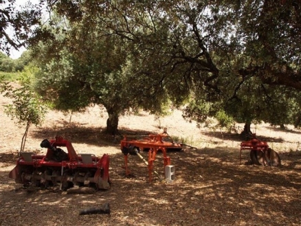 Cortes&nbsp;De&nbsp;La&nbsp;Frontera&nbsp;property:&nbsp;Cortes&nbsp;De&nbsp;La&nbsp;Frontera&nbsp;Commercial&nbsp;176544