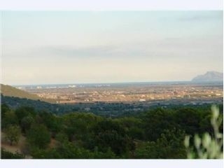 Campanet&nbsp;property:&nbsp;Land&nbsp;for&nbsp;sale&nbsp;in&nbsp;Campanet&nbsp;176676