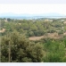 Campanet&nbsp;property:&nbsp;bedroom&nbsp;Land&nbsp;in&nbsp;Campanet,&nbsp;Spain&nbsp;176676