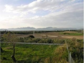 Muro&nbsp;property:&nbsp;Land&nbsp;for&nbsp;sale&nbsp;in&nbsp;Muro&nbsp;176963
