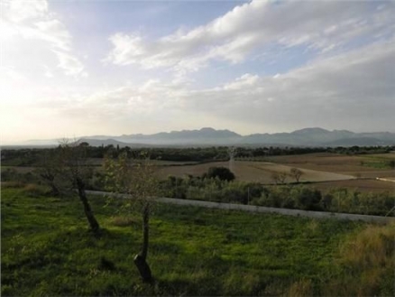Muro&nbsp;property:&nbsp;Land&nbsp;for&nbsp;sale&nbsp;in&nbsp;Muro,&nbsp;Spain&nbsp;176963