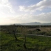 Muro&nbsp;property:&nbsp;Muro,&nbsp;Spain&nbsp;Land&nbsp;176963