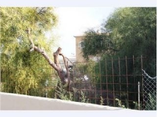 Land&nbsp;for&nbsp;sale&nbsp;in&nbsp;town,&nbsp;Spain&nbsp;177008