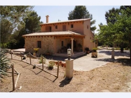 Muro&nbsp;property:&nbsp;Land&nbsp;for&nbsp;sale&nbsp;in&nbsp;Muro&nbsp;177026