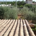 Bunyola&nbsp;property:&nbsp;Mallorca,&nbsp;Spain&nbsp;Villa&nbsp;177395
