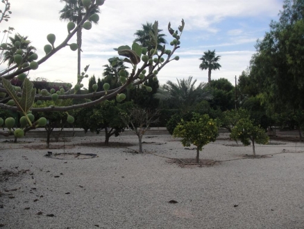 Elche&nbsp;property:&nbsp;Elche&nbsp;Villa&nbsp;177456