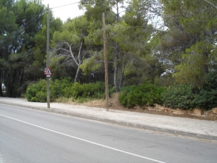 Land&nbsp;for&nbsp;sale&nbsp;in&nbsp;town,&nbsp;Spain&nbsp;177480