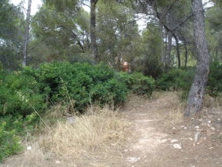 Land&nbsp;with&nbsp;bedroom&nbsp;in&nbsp;town&nbsp;177480