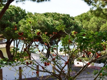 Villa&nbsp;for&nbsp;sale&nbsp;in&nbsp;town,&nbsp;Spain&nbsp;177535