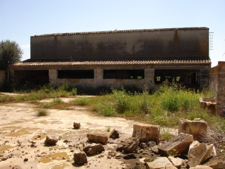 Campos&nbsp;property:&nbsp;Land&nbsp;for&nbsp;sale&nbsp;in&nbsp;Campos,&nbsp;Mallorca&nbsp;177762