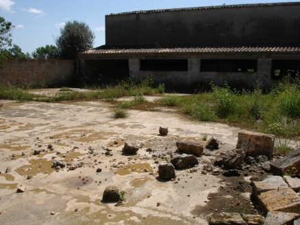 Campos&nbsp;property:&nbsp;Land&nbsp;in&nbsp;Mallorca&nbsp;for&nbsp;sale&nbsp;177762