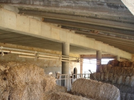 Campos&nbsp;property:&nbsp;Campos,&nbsp;Spain&nbsp;|&nbsp;Land&nbsp;for&nbsp;sale&nbsp;177762