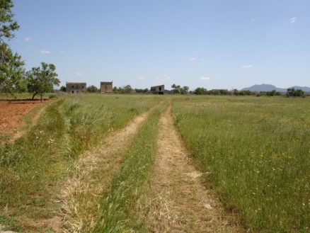 Campos&nbsp;property:&nbsp;Campos&nbsp;Land&nbsp;177762