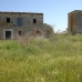 Campos&nbsp;property:&nbsp;bedroom&nbsp;Land&nbsp;in&nbsp;Campos,&nbsp;Spain&nbsp;177762
