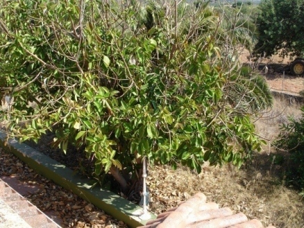 Villa&nbsp;for&nbsp;sale&nbsp;in&nbsp;town,&nbsp;Spain&nbsp;177766