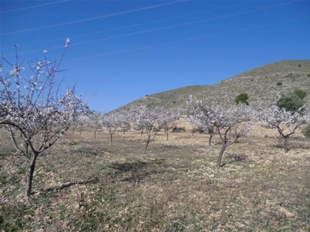 Hondon&nbsp;de&nbsp;las&nbsp;Nieves&nbsp;property:&nbsp;Villa&nbsp;with&nbsp;5&nbsp;bedroom&nbsp;in&nbsp;Hondon&nbsp;de&nbsp;las&nbsp;Nieves&nbsp;177811