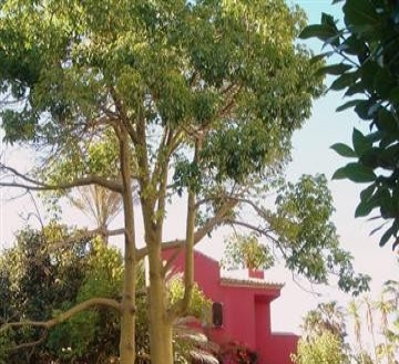 Cadiz&nbsp;property&nbsp;|&nbsp;4&nbsp;bedroom&nbsp;Villa&nbsp;178075