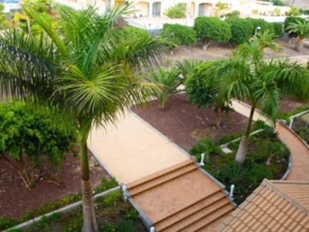 town&nbsp;Apartment&nbsp;178410