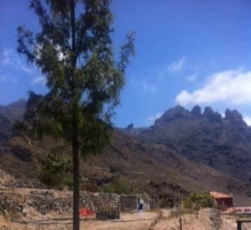 Land&nbsp;for&nbsp;sale&nbsp;in&nbsp;town,&nbsp;Spain&nbsp;178477