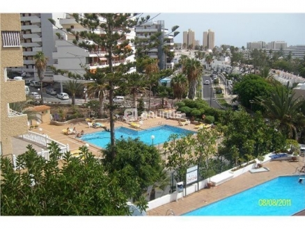 Studio&nbsp;for&nbsp;sale&nbsp;in&nbsp;town,&nbsp;Spain&nbsp;178509