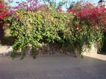 town&nbsp;Villa&nbsp;178527