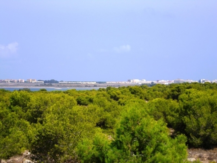 town&nbsp;Apartment&nbsp;179113