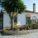 Torrox&nbsp;property:&nbsp;&nbsp;Villa&nbsp;in&nbsp;Malaga&nbsp;180891