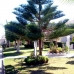 Orihuela Costa property: Beautiful Apartment for sale in Alicante 181699