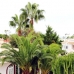 Orihuela Costa property: Beautiful Villa for sale in Alicante 181700