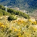 Atzeneta Del Maestrat property: Finca for sale in Atzeneta Del Maestrat 181732