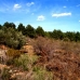 Atzeneta Del Maestrat property: Atzeneta Del Maestrat, Spain Finca 181736